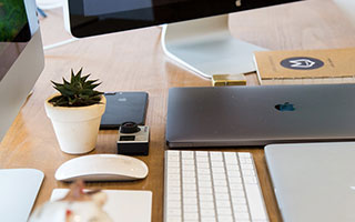 开云esports-蝶泳50米划频冠军仅用24次，蝶泳50米记录