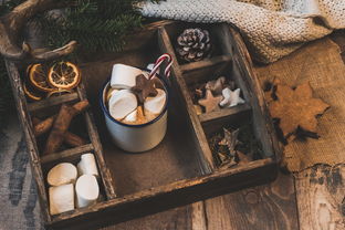 开云体育官网app-NBA赛季助攻王表现动态，nba本赛季助攻王