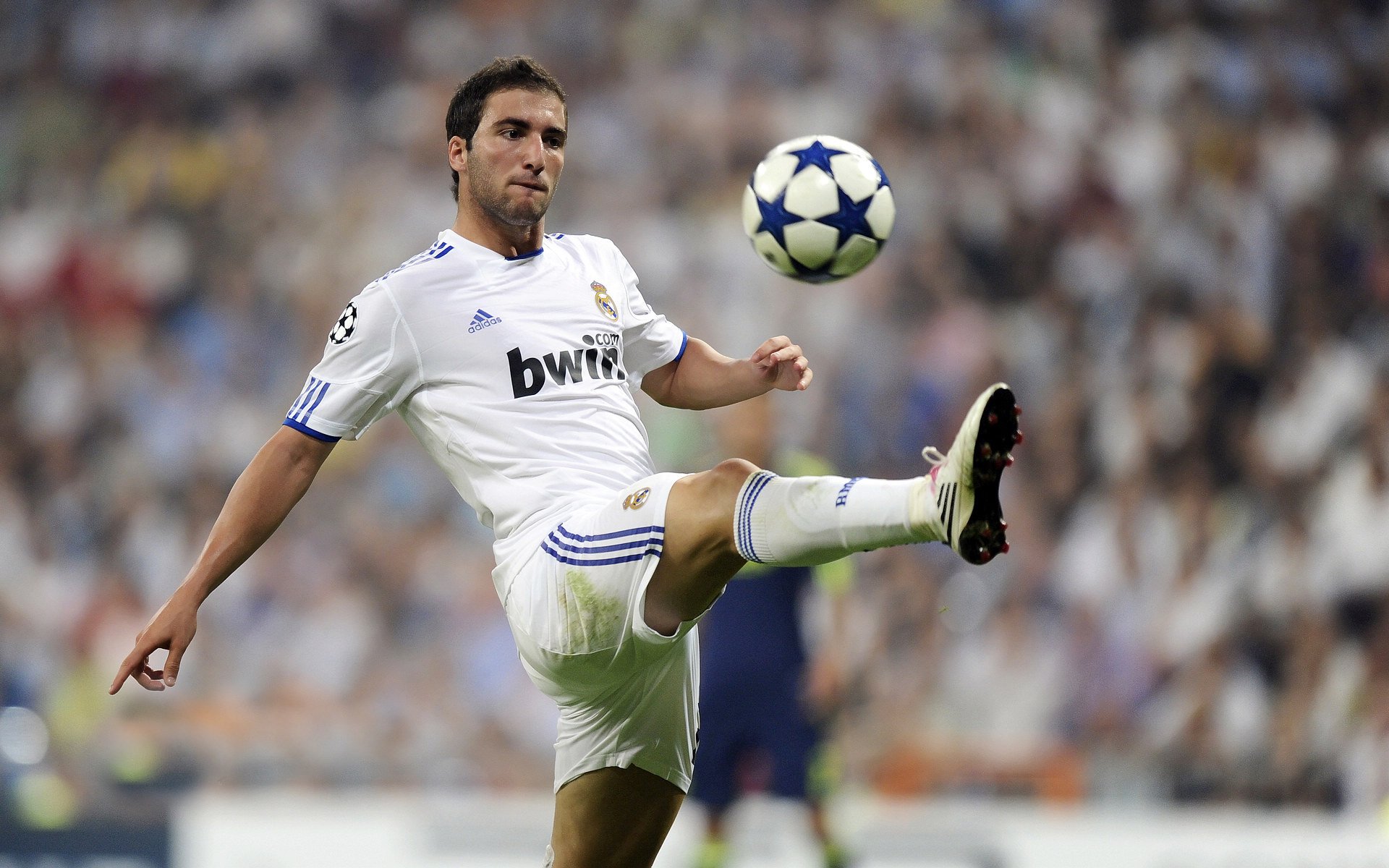 未来挑战：Chinese Taipei团队如何迎接更大国际赛事